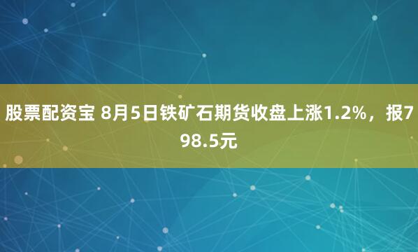 股票配资宝 8月5日铁矿石期货收盘上涨1.2%，报798.5元